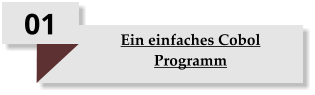 01 Ein einfaches Cobol Programm