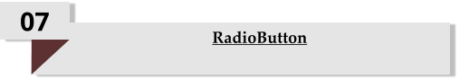 07 RadioButton